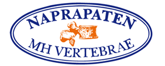 Naprapat Magnus Holm