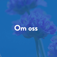 Om oss