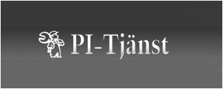 Pi Tjänst