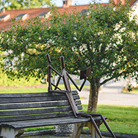 Placeringsrådgivning