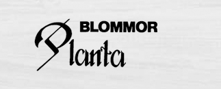 Planta Blommor