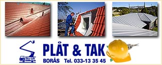 Plåt & Tak i Borås AB