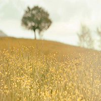 Parterapi & familjesamtal