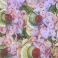 Evenemang/ Konserter