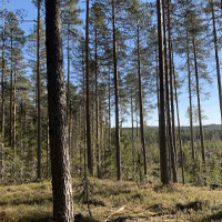 Fastigheter till salu