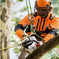 Arborist