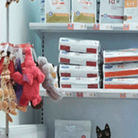 Butik
