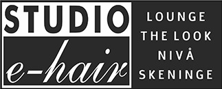 STUDIO e-hair ART