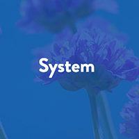System