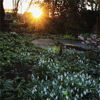Evenemang & workshops