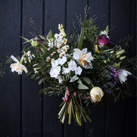 Skicka blommor