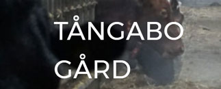 Tångabo Gård