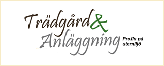 Trädgård & Anläggning i Sundsvall AB
