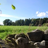 Varför VPE tjänst?