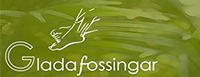 Glada Fossingar i Malmö
