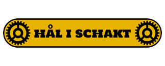HÅL I SCHAKT
