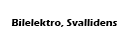 Bilelektro, Svallidens
