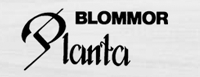 Planta Blommor