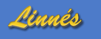 Linnés i Kristinehamn AB